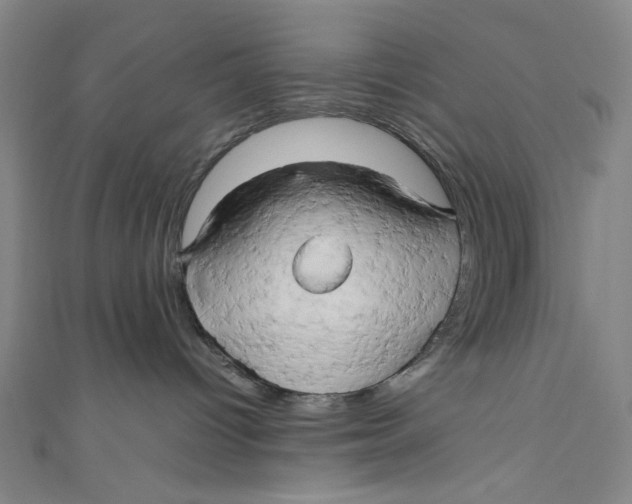 X0000111190096200907221118