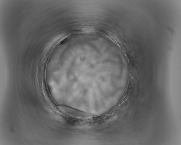 X0000111190097200907221118