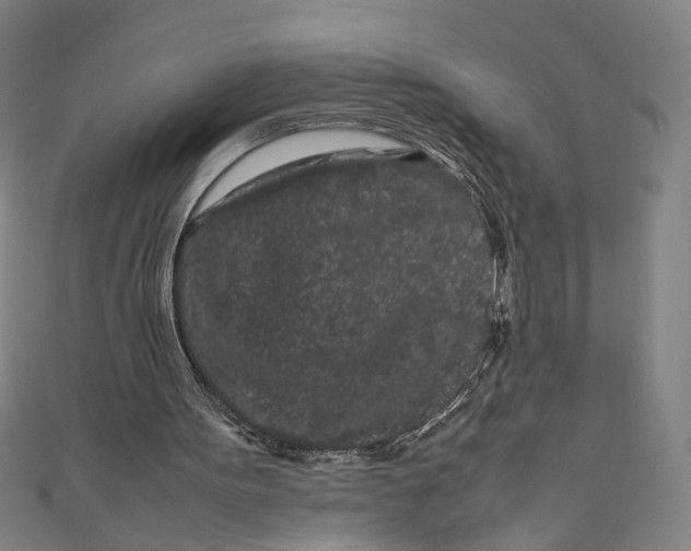 X0000111190099200907221118