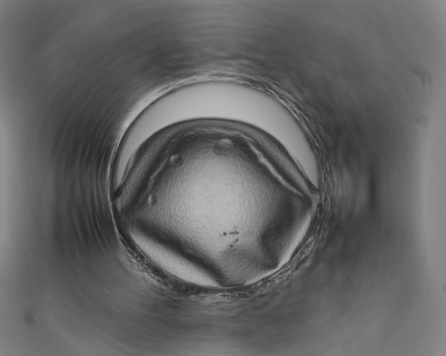 X0000111190100200907221117