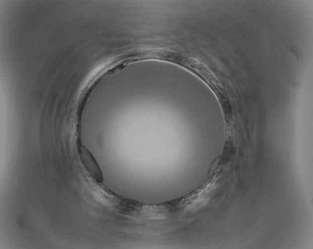 X0000111190101200907221117