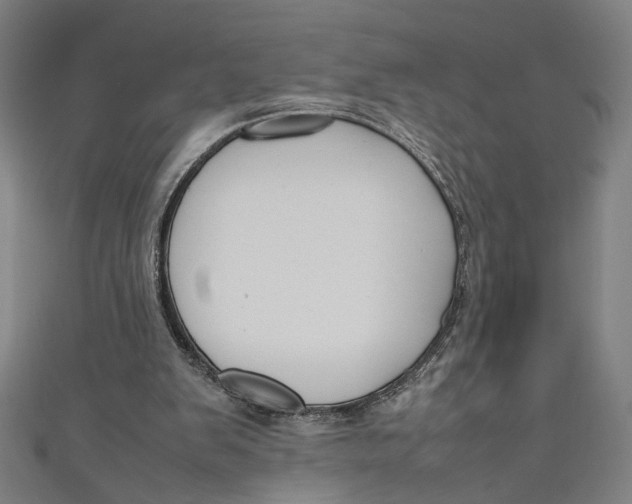 X0000111190103200907221117