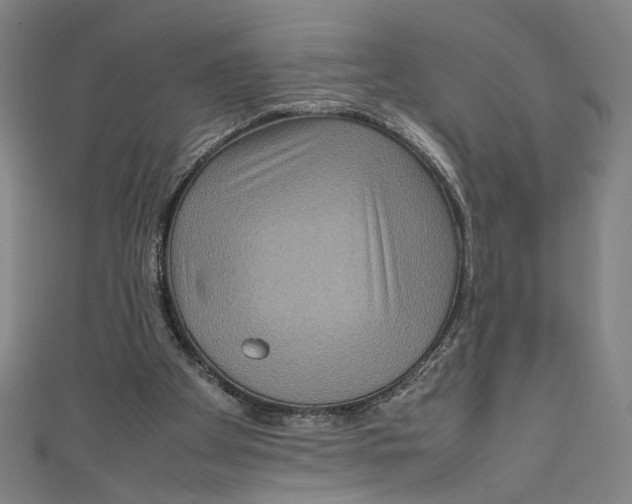 X0000111190105200907221117