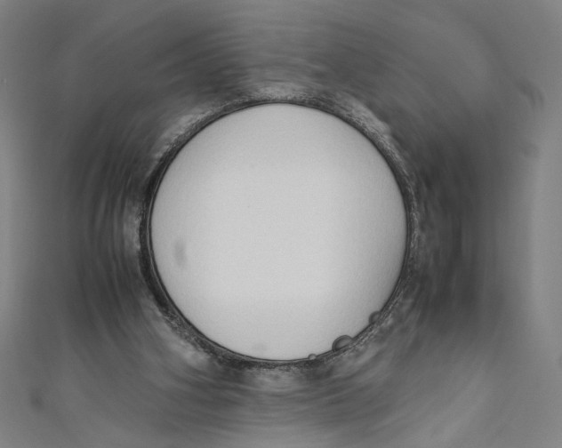 X0000111190106200907221117