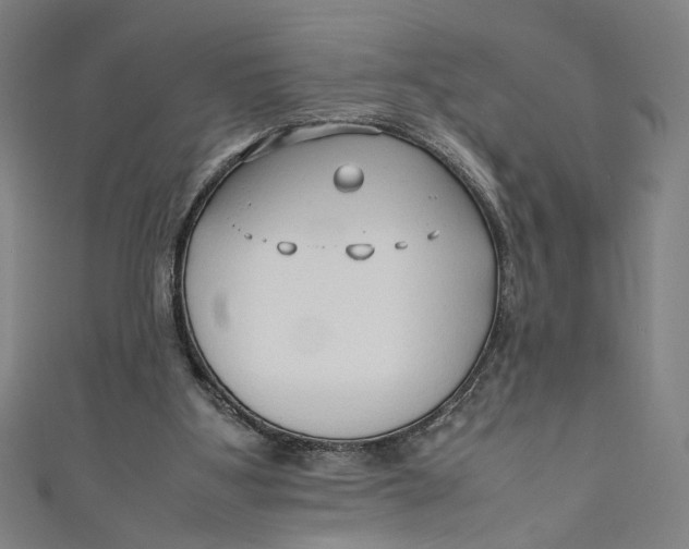 X0000111190107200907221117