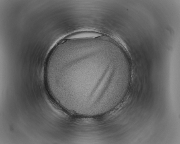 X0000111190108200907221117