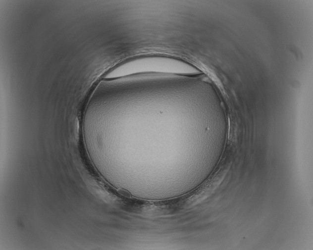 X0000111190109200907221117