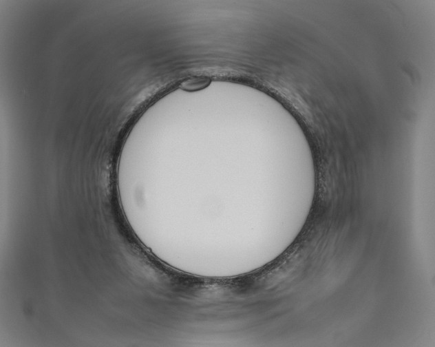 X0000111190111200907221117