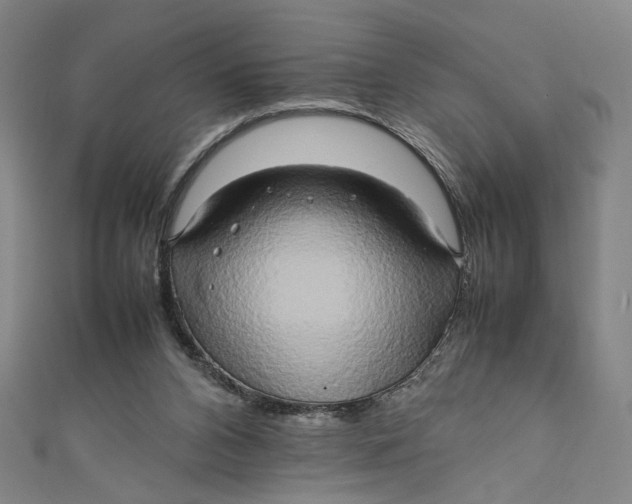 X0000111190112200907221117