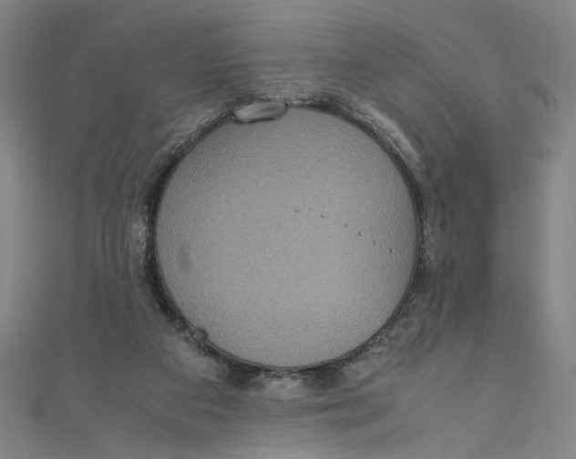 X0000111190113200907221117