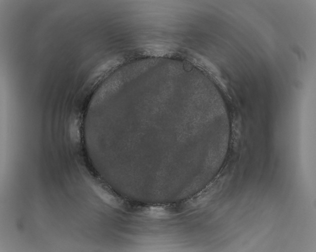 X0000111190114200907221117