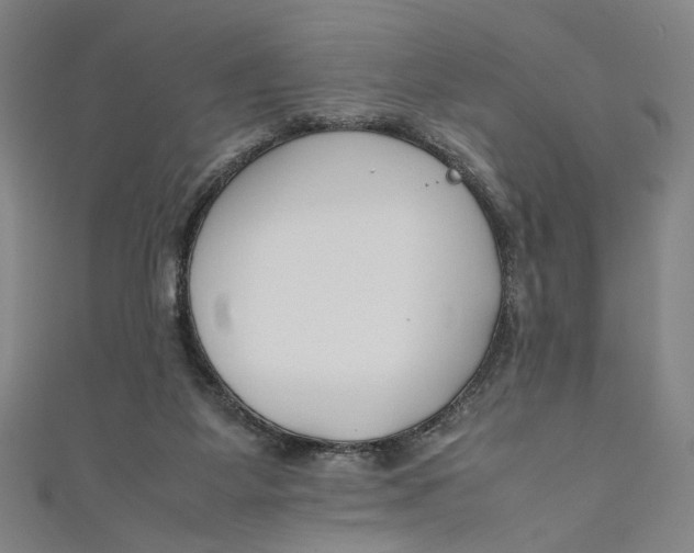 X0000111190115200907221117