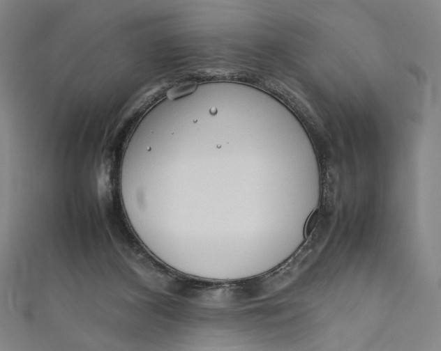 X0000111190116200907221117