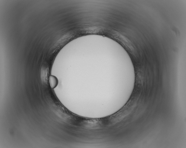 X0000111190118200907221117