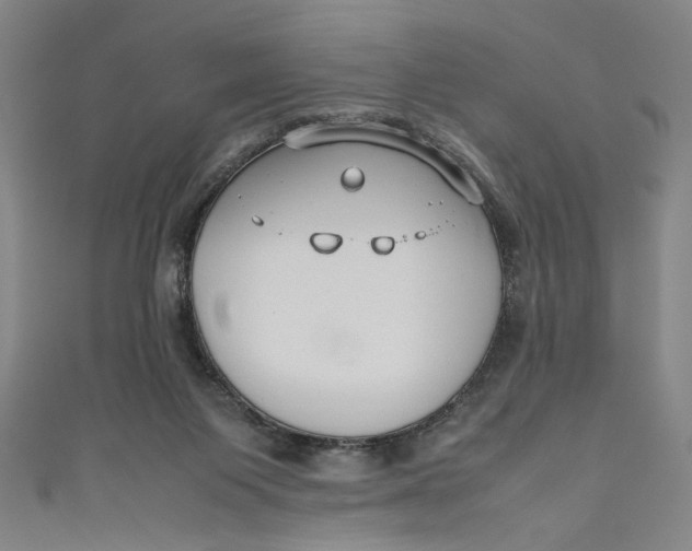 X0000111190119200907221117