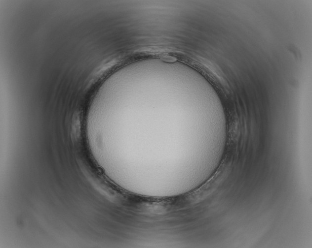 X0000111190120200907221117