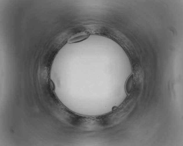 X0000111190121200907221117