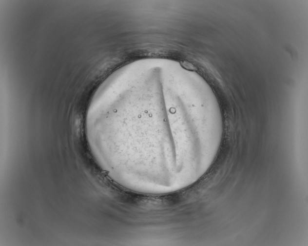 X0000111190123200907221117