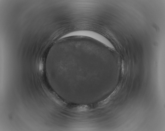 X0000111190124200907221117