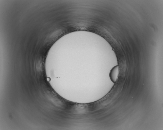 X0000111190126200907221117