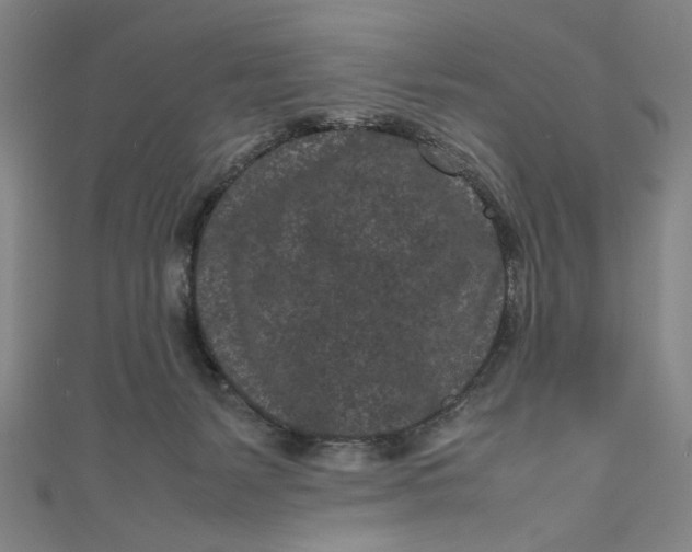 X0000111190127200907221117