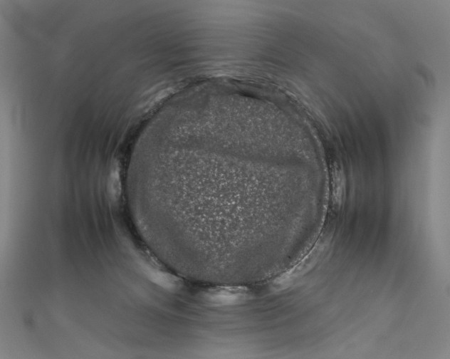 X0000111190128200907221117