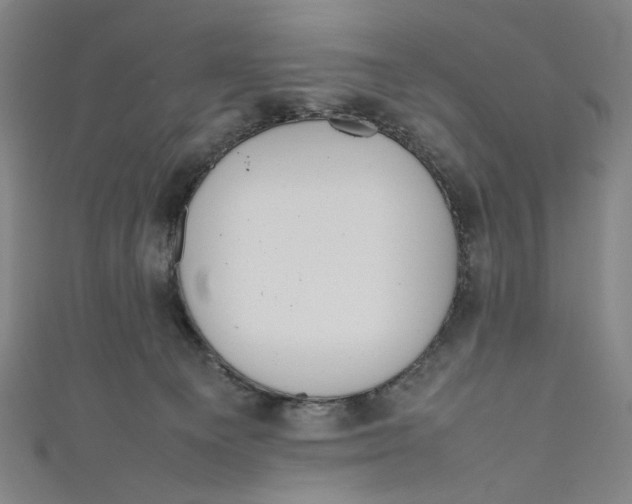 X0000111190129200907221117