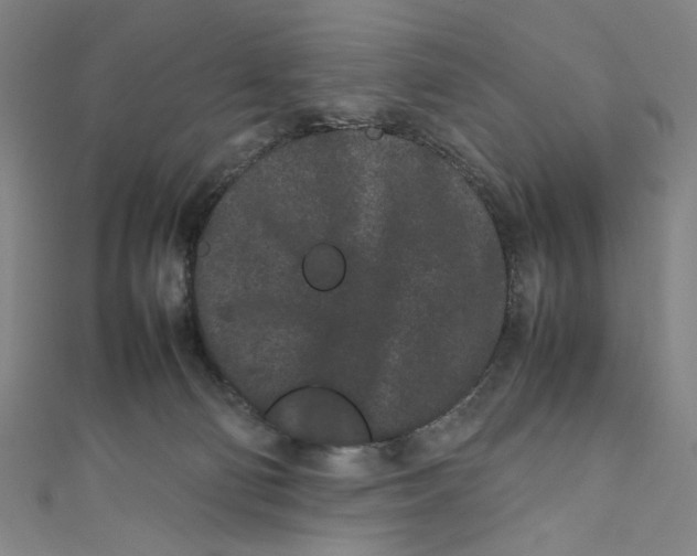 X0000111190130200907221117