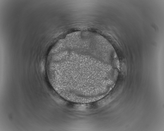 X0000111190131200907221117