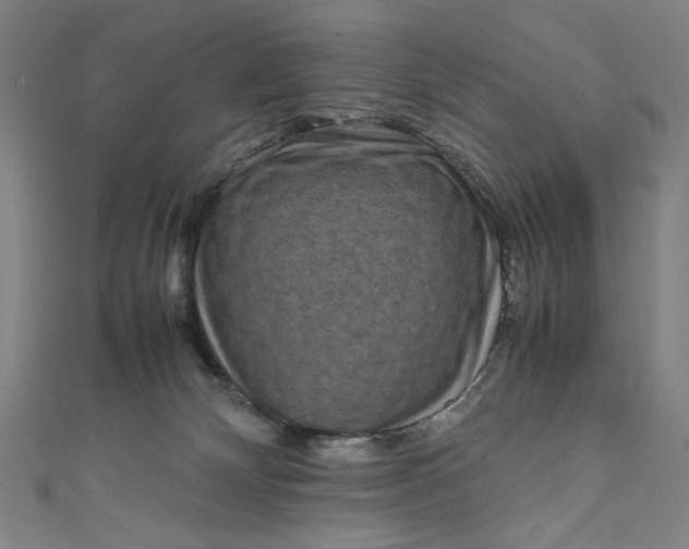 X0000111190132200907221117