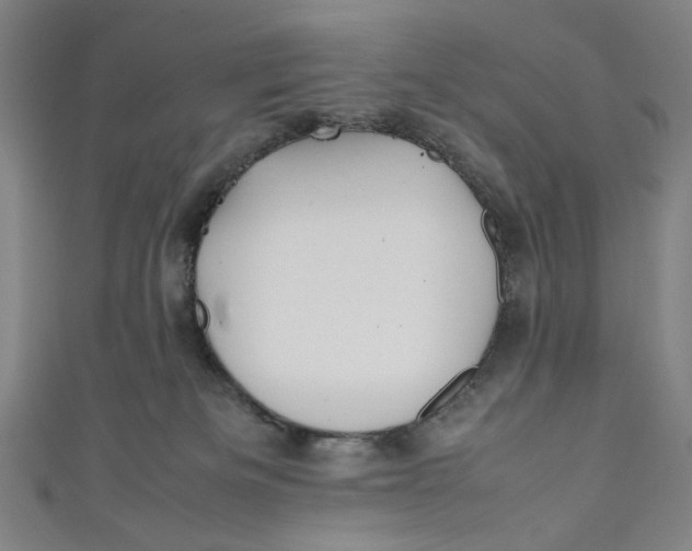 X0000111190133200907221117