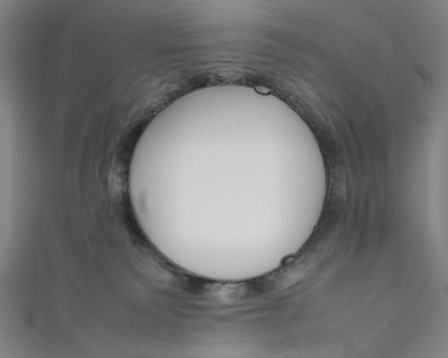 X0000111190135200907221117