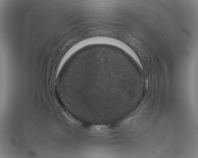 X0000111190137200907221117