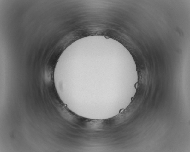 X0000111190138200907221117