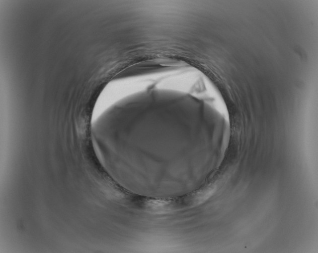 X0000111190139200907221117