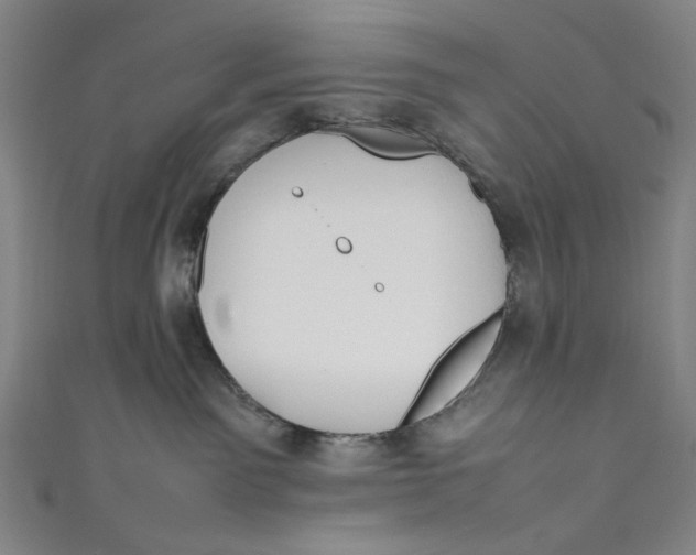 X0000111190141200907221117