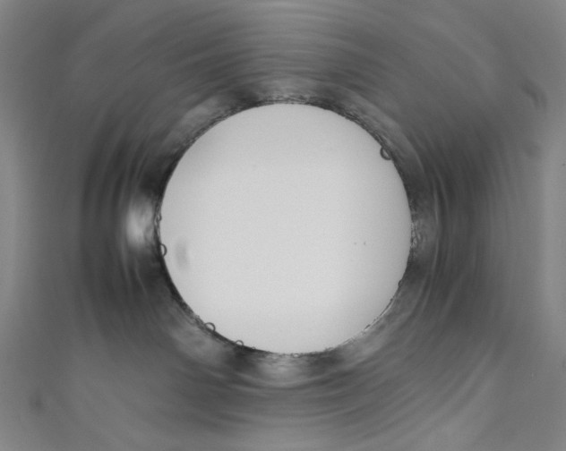 X0000111190142200907221117