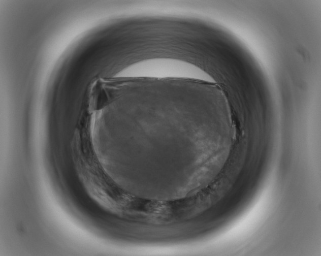 X0000111190143200907221117