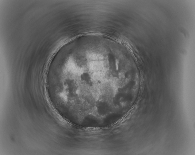 X0000111190145200907221116