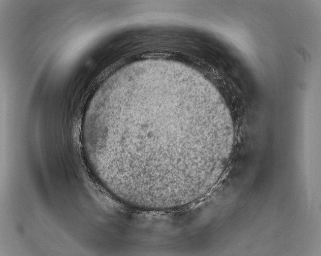 X0000111190146200907221116