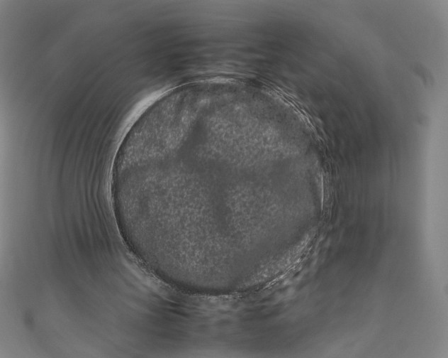 X0000111190147200907221116