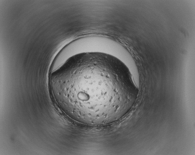 X0000111190148200907221116