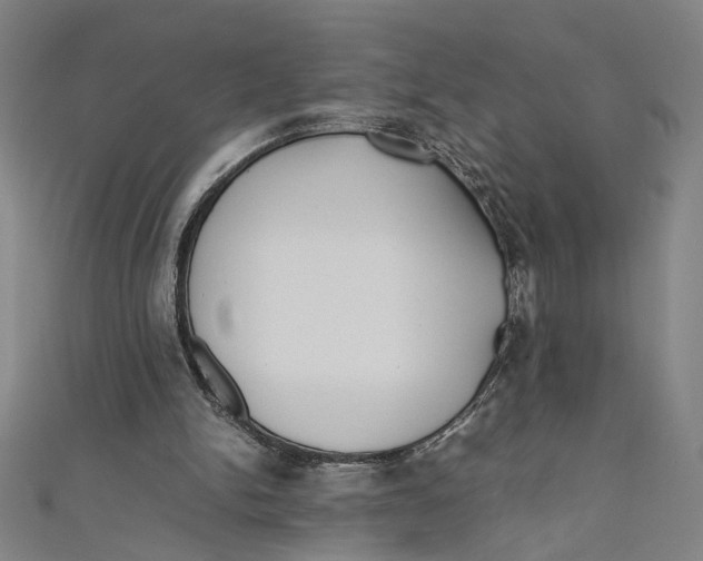 X0000111190150200907221116