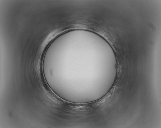 X0000111190151200907221116