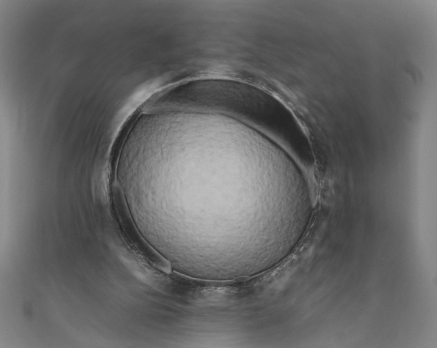 X0000111190152200907221116