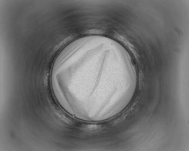 X0000111190153200907221116