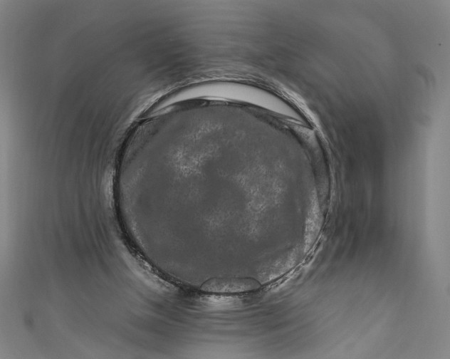 X0000111190154200907221116