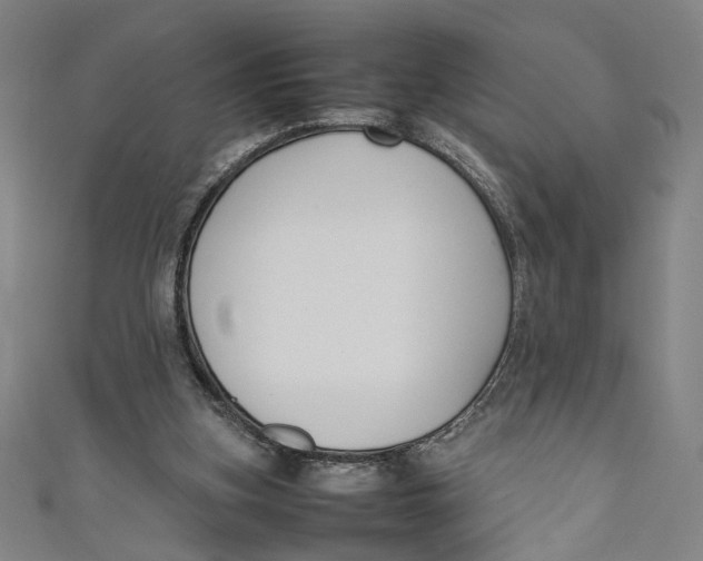 X0000111190155200907221116