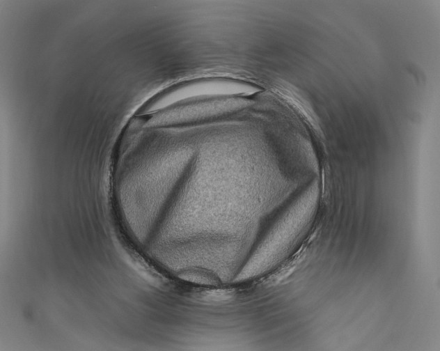 X0000111190156200907221116