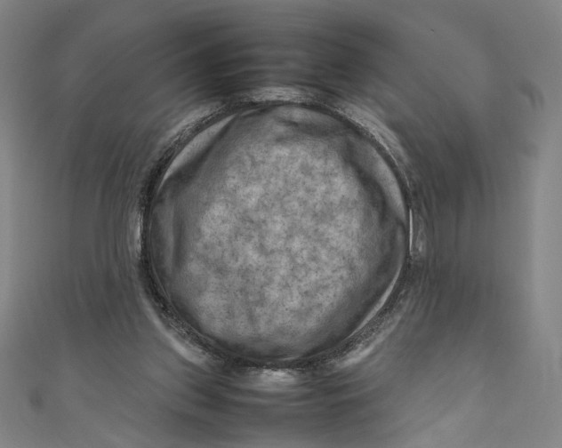 X0000111190157200907221116